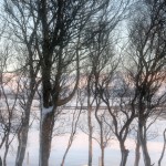 _MG_5863