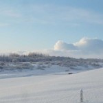 Marjolijn Hof - another glorious day